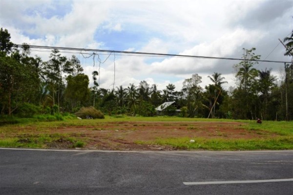 Tanah Pinggir Jalan Dijual Di Luwus Bedugul, Bali – TJBE007