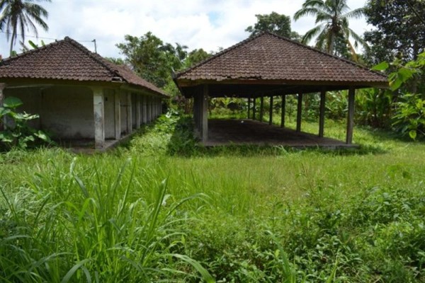 Tanah Dijual Di luwus Bedugul, Bali – TJBE009