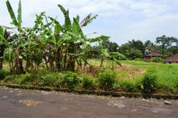 Tanah Dijual Di Jantung Kota Ubud, Bali – TJUB051