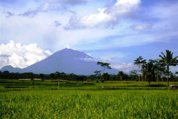 Dijual Tanah dengan view spektakuler di Tegalalang, Ubud, Bali – TJUB082