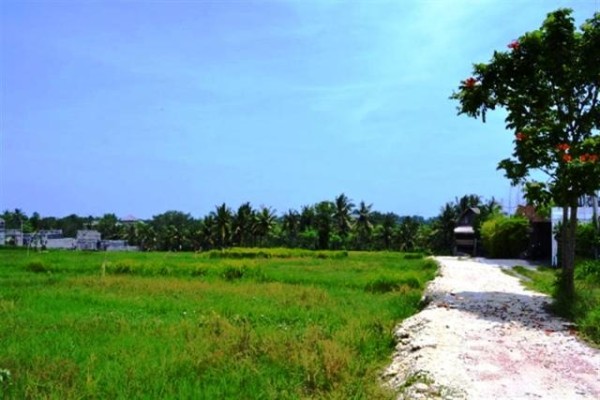 Tanah Dijual di Pantai Pererenan, Canggu. Pinggir jalan view sawah – TJCG037