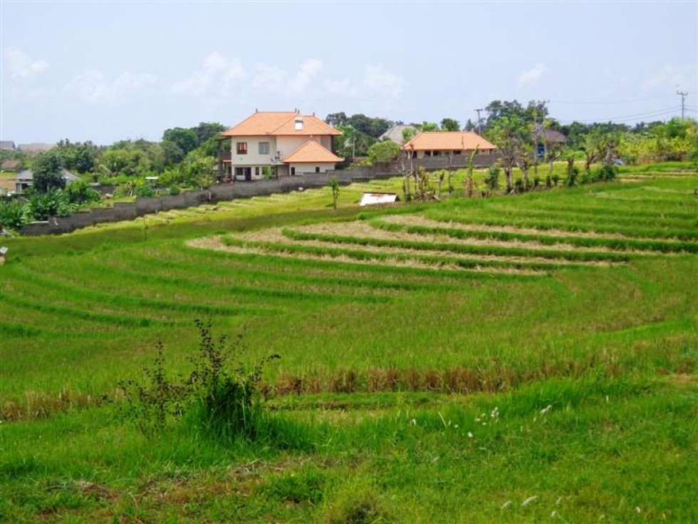 Tanah dijual di Canggu Kuta view sawah di Pererenan – TJCG076