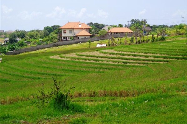 Tanah dijual di canggu Cocok untuk villa – TJCG076