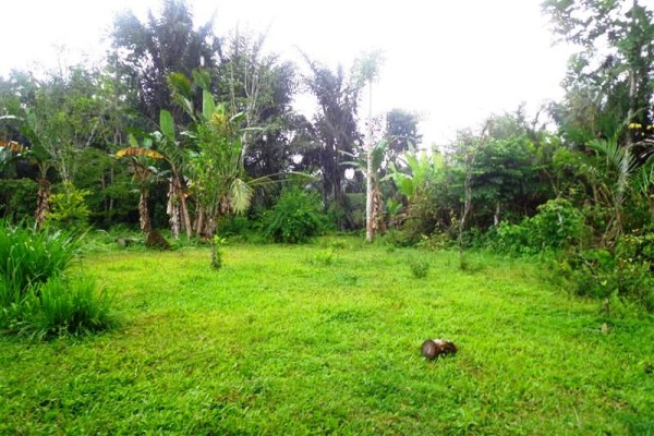 Tanah dijual di Ubud Dekat bagus jati Hotel – TJUB136