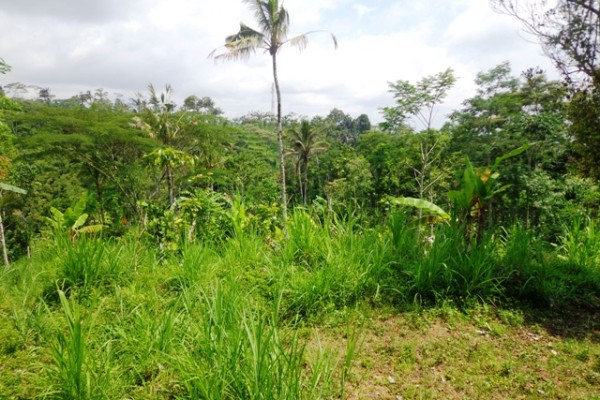 Tanah dijual di Ubud Bali view cantik harga menarik – TJUB133