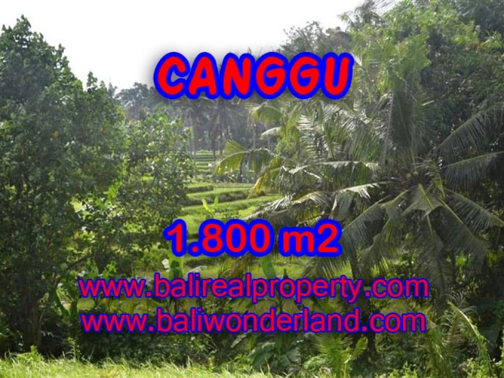 Tanah dijual di Canggu Bali view sawah,sungai di canggu brawa