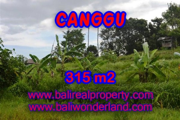 Tanah di Canggu dijual view sawah,sungai 3.15 Are di canggu brawa  Bali
