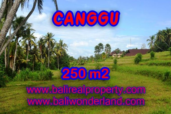 Tanah dijual di Canggu 250 m2 di Canggu Pererenan Bali