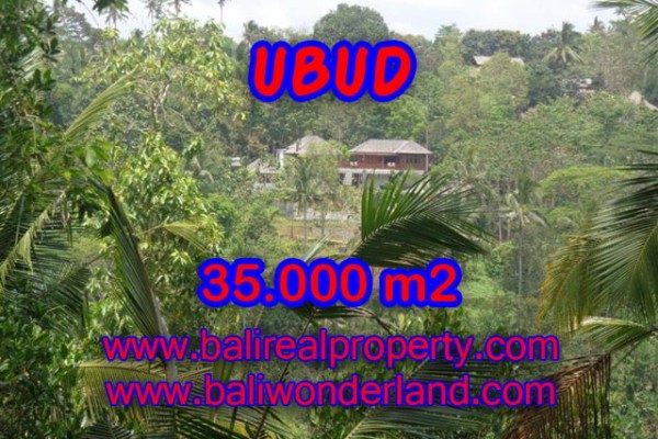 Tanah dijual di Bali View sawah, gunung, sungai dan hutan 35.000 m2 di Ubud Payangan
