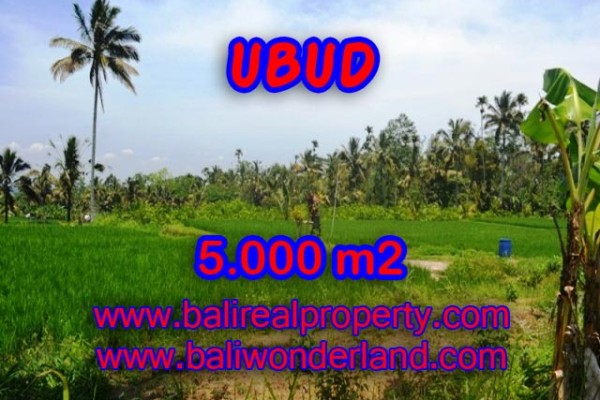 Tanah di Ubud Bali dijual TJUB335 sawah dan tebing di Ubud Payangan