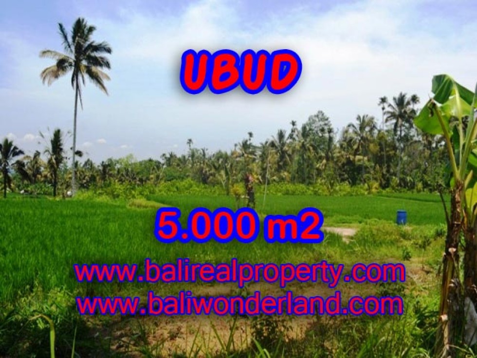 Tanah di Ubud Bali dijual TJUB335 sawah dan tebing di Ubud Payangan