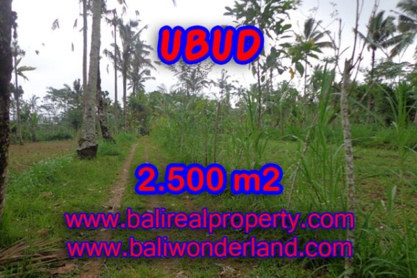 Tanah di Ubud dijual 25 Are View tebing dan hutan di Ubud Tegalalang