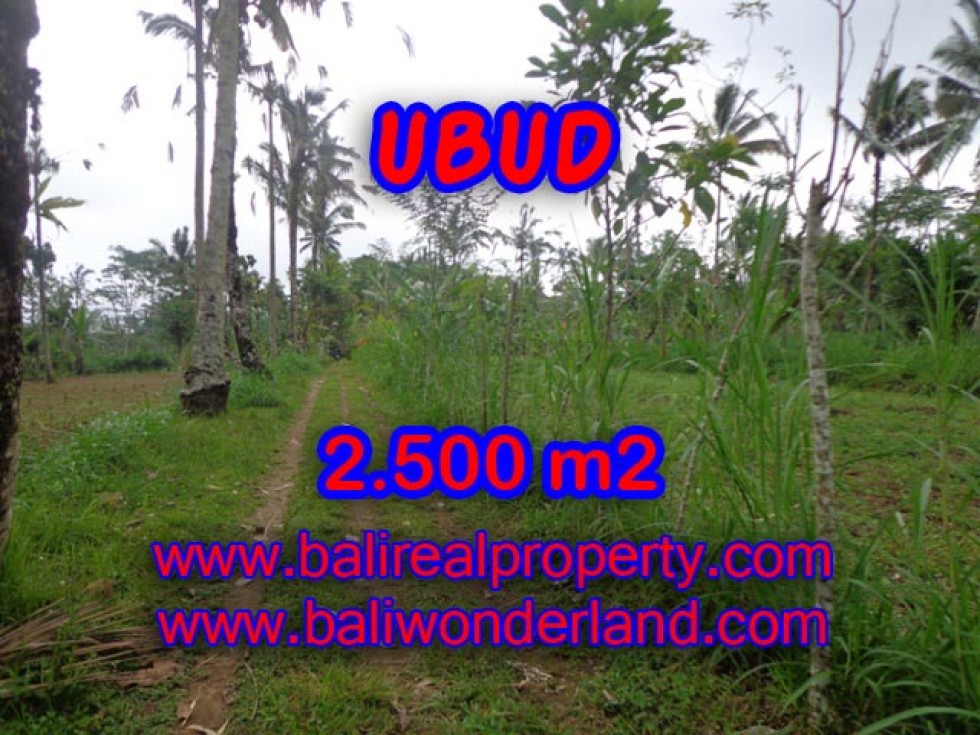 Tanah di Ubud dijual 25 Are View tebing dan hutan di Ubud Tegalalang