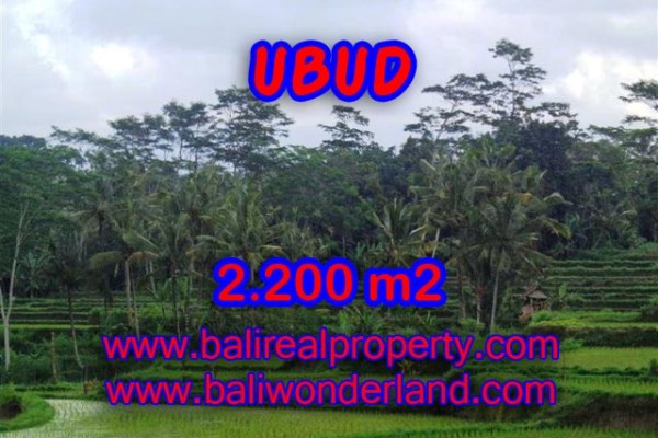 Jual Tanah di Ubud Bali view sawah dan gunung – TJUB306