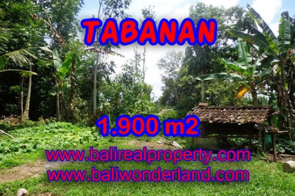 DIJUAL TANAH DI TABANAN RP 350.000 / M2 – TJTB091 – INVESTASI PROPERTY DI BALI