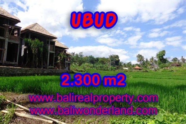 Jual tanah di Ubud view sawah dan sungai di Dekat Ubud Center Bali
