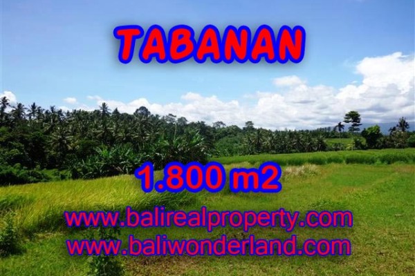 Jual Tanah murah di TABANAN TJTB106 – investasi property di Bali