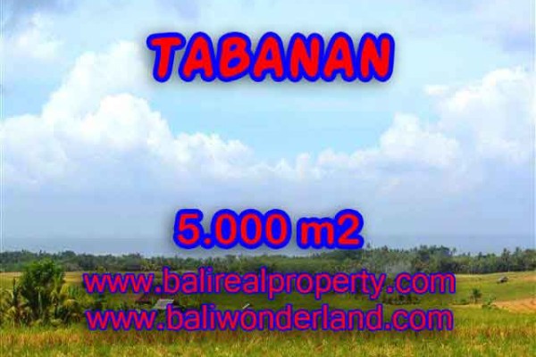 Jual Tanah murah di TABANAN TJTB124 – Kesempatan investasi property di Bali