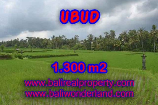 Tanah di UBUD Bali Dijual murah TJUB394 – investasi property di Bali