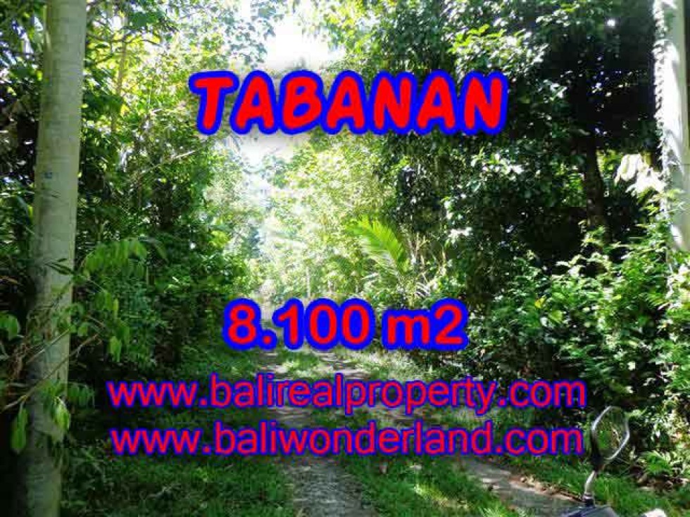 DIJUAL TANAH DI TABANAN BALI MURAH TJTB113 – INVESTASI PROPERTY DI BALI