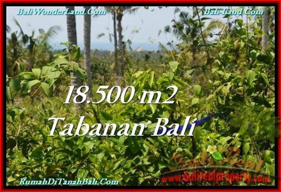 TANAH MURAH JUAL di TABANAN BALI 185 Are View Laut dan Kebun