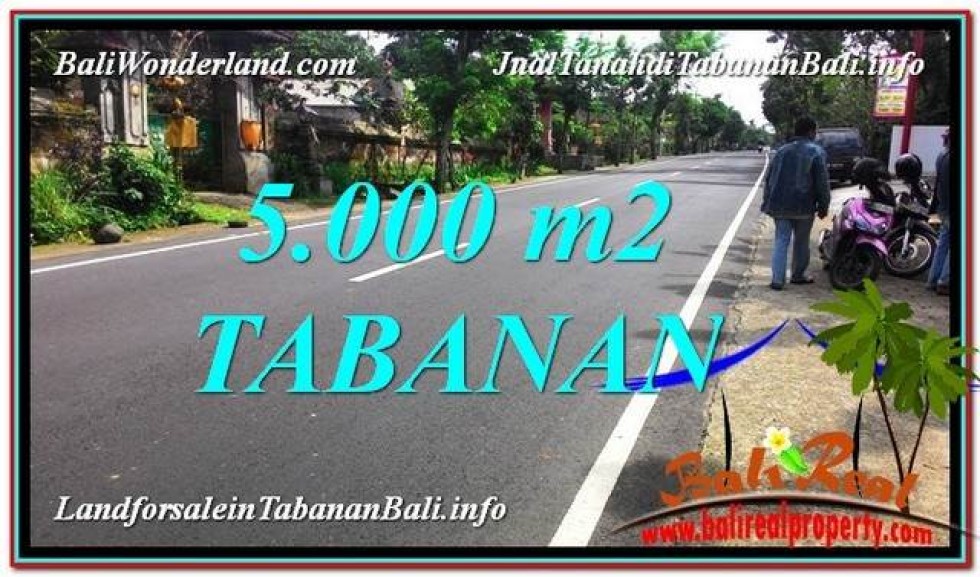 TANAH MURAH DIJUAL di TABANAN BALI 5,000 m2 di Badung