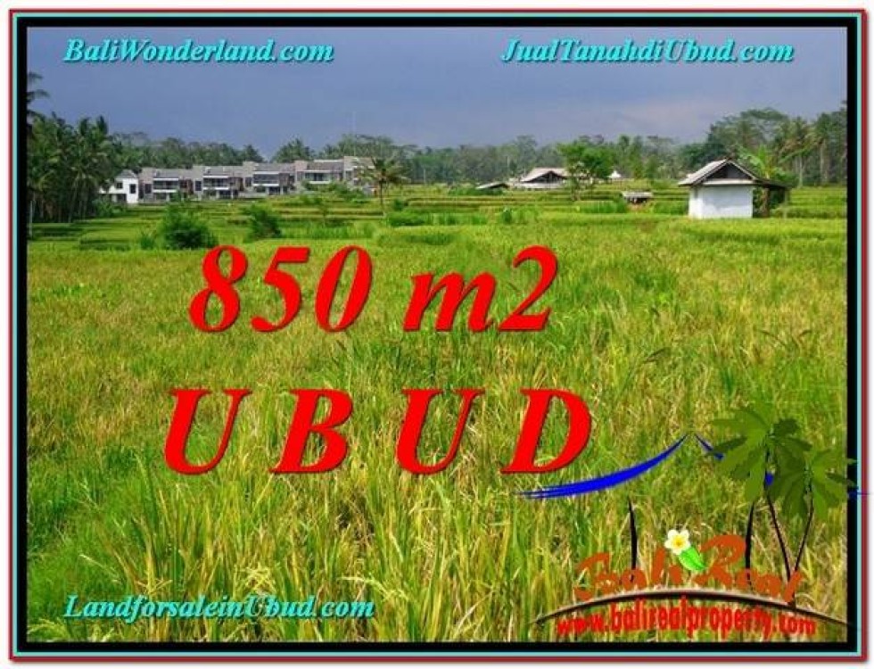 TANAH MURAH DIJUAL di UBUD BALI 850 m2 di Ubud Pejeng