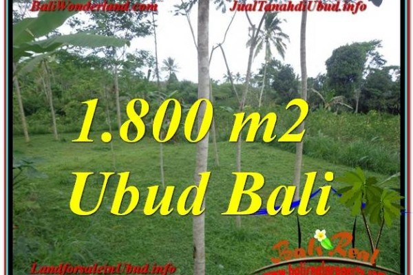 JUAL MURAH TANAH di UBUD Untuk INVESTASI TJUB610