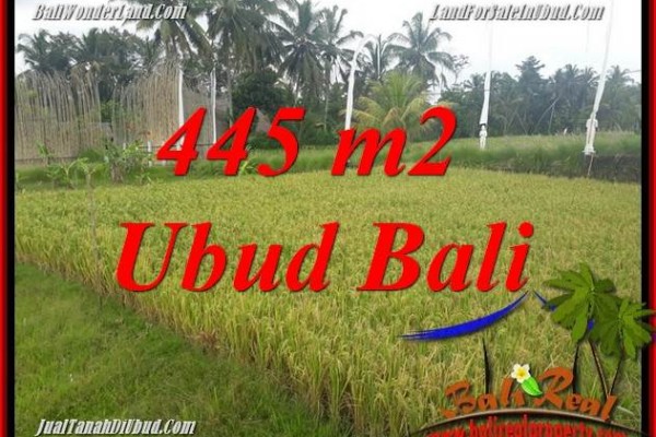 Tanah Murah di Ubud Bali 4 Are di Ubud Pejeng
