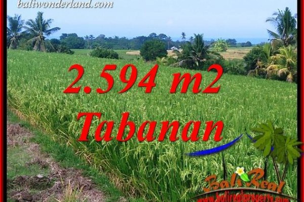 JUAL Tanah di Tabanan Bali 25.94 Are di Tabanan Selemadeg