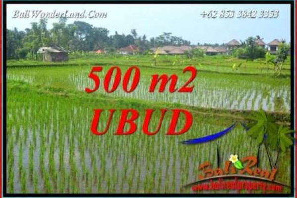 Dijual Murah Tanah di Ubud Bali Untuk Investasi TJUB708