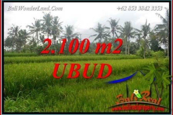 Tanah Murah  di Ubud Bali Dijual 2,100 m2  View Sawah