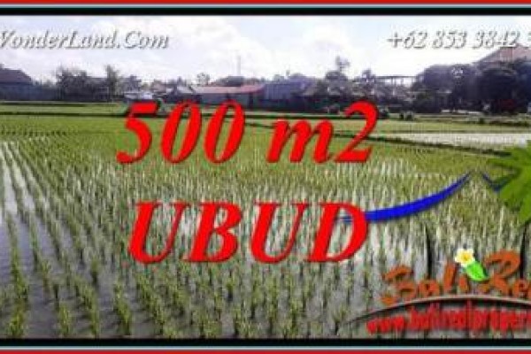 Dijual Tanah Murah di Ubud Bali 500 m2 di Sentral Ubud