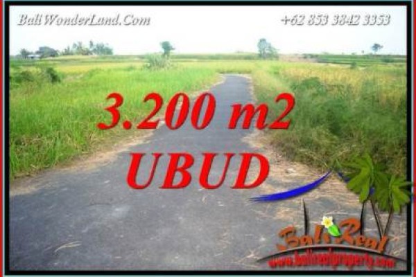 JUAL Tanah di Ubud Bali Untuk Investasi TJUB736