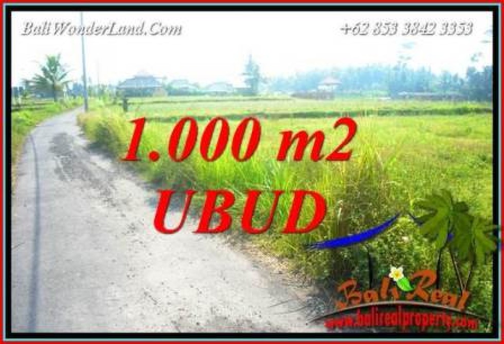 JUAL Tanah di Ubud Bali Untuk Investasi TJUB739
