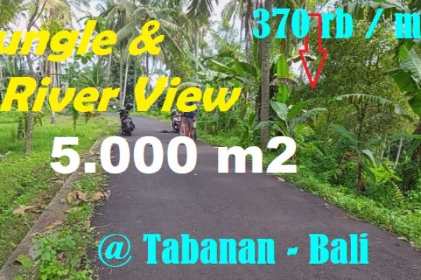 TANAH JUAL MURAH di TABANAN 50 Are View Hutan / Jungle dan Sungai