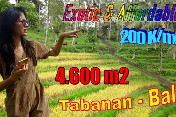 TANAH MURAH di TABANAN BALI DIJUAL 4,600 m2  View sawah, Jungle dan Sungai