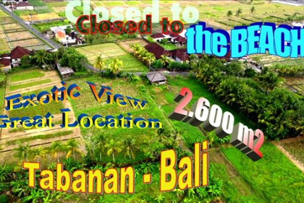 DIJUAL MURAH TANAH di BALI 2,600 m2 di Tabanan