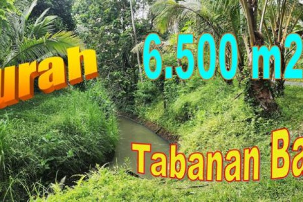 TANAH di TABANAN BALI DIJUAL MURAH 65 Are View Sungai dan Hutan