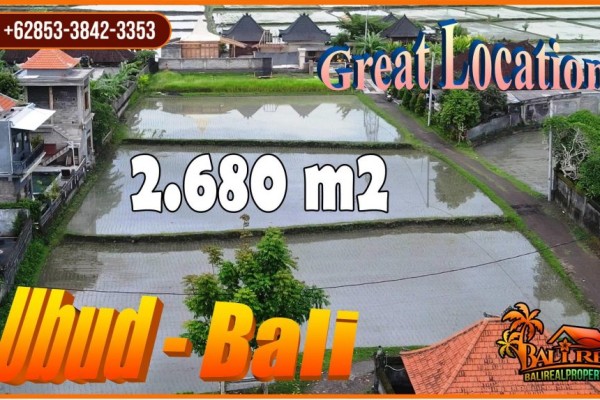 TANAH di UBUD BALI DIJUAL MURAH 2,680 m2 View Sawah Lingkungan Villa
