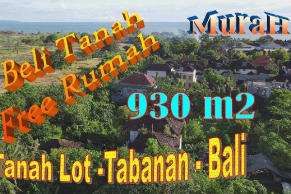 Jual Tanah Murah Bonus Rumah Besar di Kawasan Wisata Tanah Lot Tabanan Bali TJTB737