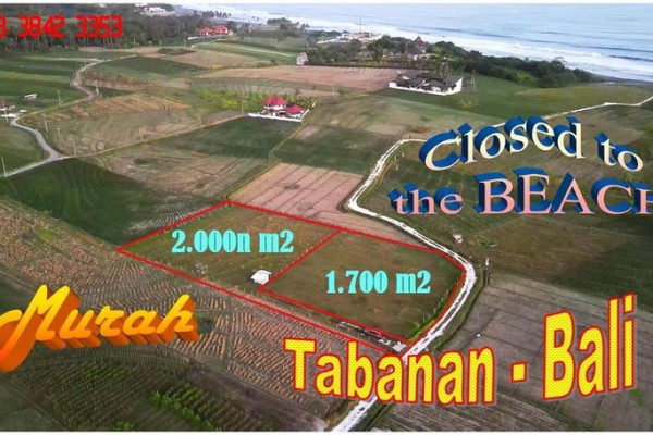TANAH MURAH DIJUAL di TABANAN BALI 1,700 m2 di Selemadeg Tabanan