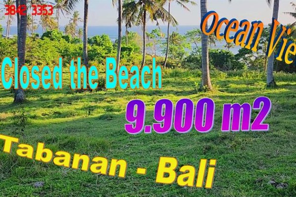 JUAL TANAH DI TABANAN 99 Are Dekat Pantai Pinggir Jalan Provinsi View Laut