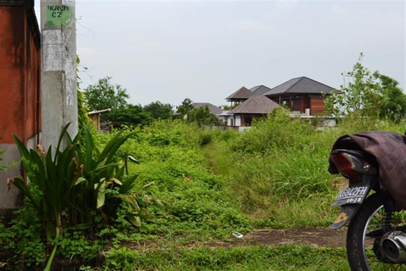 TJCG031 jual tanah di canggu bali  Rumah JUAL TANAH murah 