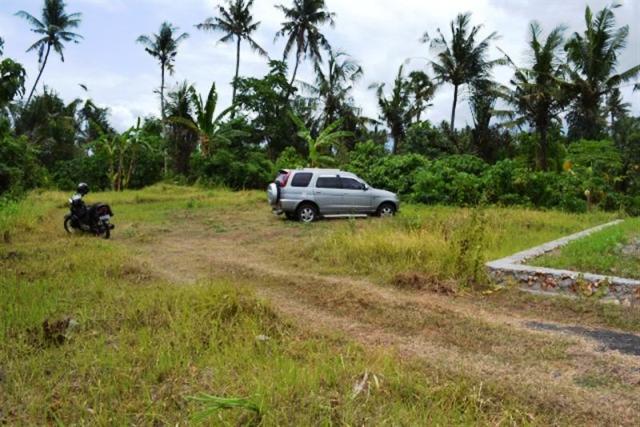 Jual tanah di gianyar bali  Rumah JUAL TANAH murah di BALI