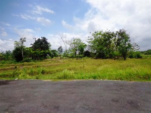 tanah dijual di Canggu