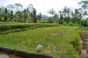 Tanah dijual di Ubud