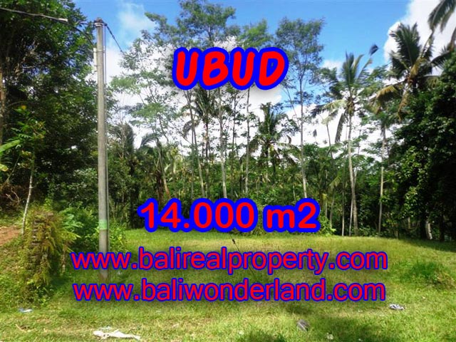 Tanah dijual di Ubud Bali 14.000 m2 view alami dekat sungai di Ubud Payangan