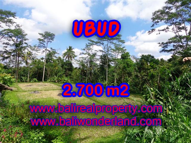 Tanah di Ubud dijual 2.700 m2 view sawah dan hutan di Ubud Tampak Siring