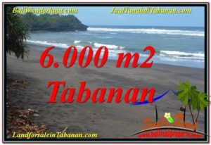 JUAL TANAH MURAH di TABANAN BALI 6,000 m2 View laut dan sawah
